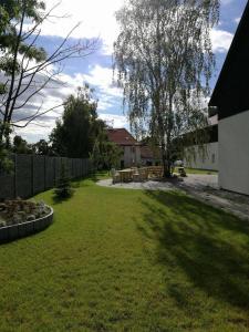a yard with a fence and a tree at Jarzębinowy Agroturystyka in Braniewo