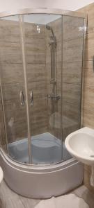 W łazience znajduje się prysznic i umywalka. w obiekcie Jarzębinowy Agroturystyka w mieście Braniewo