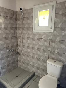a bathroom with a shower with a toilet and a window at Cottage Karanikola in Sikia