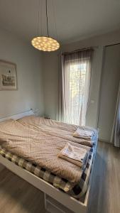 una camera da letto con un grande letto e una finestra di Top Central Place with 2 bedrooms in Sofia a Sofia