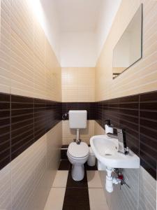 a bathroom with a toilet and a sink at Loggia Apartman in Győr