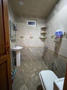 Kúpeľňa v ubytovaní AkbA-Frame1