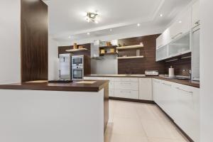 Kuchyňa alebo kuchynka v ubytovaní Grand Elegant Apartment