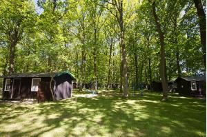 a group of tents in a field with trees at WOMO STELLPLATZ Wald & Sand DIREKT am STRAND in Dranske