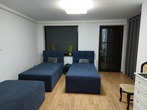 salon z 2 niebieskimi łóżkami i kanapą w obiekcie Głogów przy Starówce w Głogowie