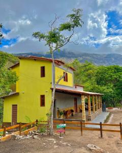 une maison jaune avec un chien debout sur la terrasse couverte dans l'établissement Reserva do Bosque Hospedaria e Natureza, à Ibicoara