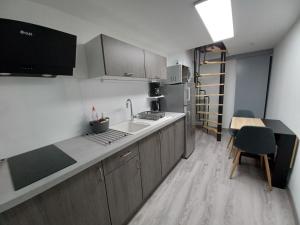 富瓦Charmant T2 duplex Centre de Foix的带水槽和台面的厨房