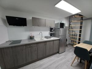 富瓦Charmant T2 duplex Centre de Foix的带水槽和冰箱的厨房