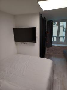 富瓦Charmant T2 duplex Centre de Foix的一间带床和平板电视的卧室