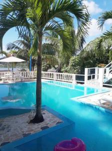 a swimming pool with a palm tree in the middle at BLUE HOUSE OCEAN VIEW in Santa Bárbara de Samaná