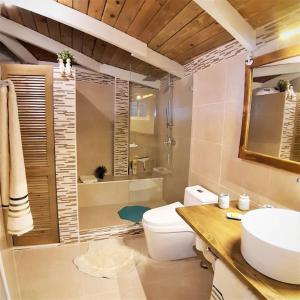 a bathroom with a toilet and a sink and a shower at BLUE HOUSE OCEAN VIEW in Santa Bárbara de Samaná