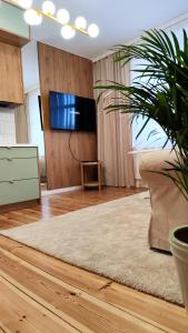 een woonkamer met een tv en een plant bij Apartament Staszica 6 in Słupsk