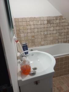 Koupelna v ubytování Cabana Antonia