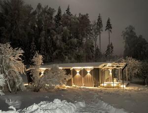 a house covered in lights in the snow at Tondikaku Holiday Home in Otepää