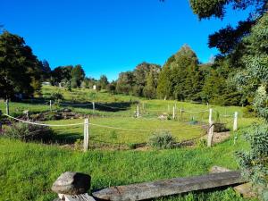 a fence in the middle of a field at Down to earth NZ in Kerikeri