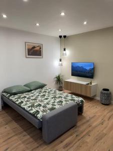 a bedroom with a bed and a flat screen tv at Bali suites - Basel / Dreilander in Saint-Louis