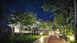 a street with trees and lights at night at Hermosos departamentos Ciudad Mayakoba in Playa del Carmen