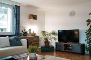 ein Wohnzimmer mit einem Sofa und einem Flachbild-TV in der Unterkunft Large Apartment 8beds great for family and friends, Mountain View in Amden