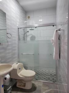 een badkamer met een douche, een toilet en een wastafel bij aruba Villas in Noord