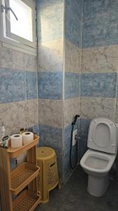 a small bathroom with a toilet and a shower at Appartement Jawharat Mogador in Essaouira