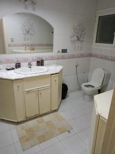 a bathroom with a sink and a toilet at شقة بالمهندسين in Cairo