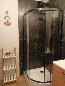 um chuveiro com uma caixa de vidro na casa de banho em Świerkowe Siedlisko pokoje gościnne em Węgorzewo