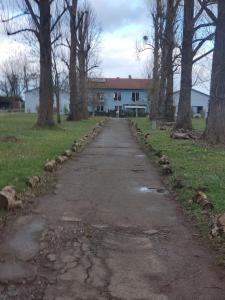 an old road in front of a house with trees at Große 3 Zi Wohnung auf der Pferde Farm in Lahr-Dinglingen