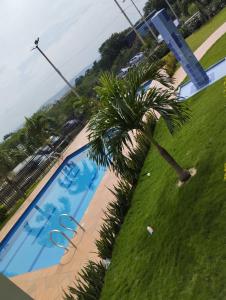 a palm tree sitting next to a swimming pool at apartamento cerca al aeropuerto parqueadero privado conjunto cerrado bilbao in Cúcuta