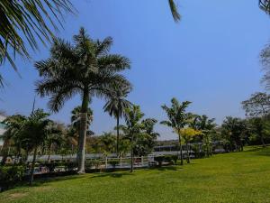 a park with palm trees and a building in the background at Hotel Puente Nacional & Spa in Puente Nacional