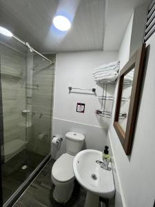 Amarena Hotel Boutique في مانيزاليس: حمام مع مرحاض ومغسلة ودش