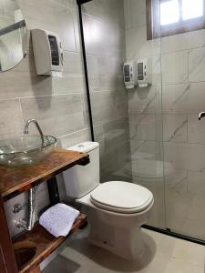 een badkamer met een wastafel, een toilet en een douche bij Chalés Monte Verde in Bom Jardim da Serra