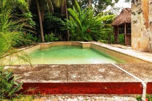 a small swimming pool in a garden with trees at Spectacular Hacienda Henequenera with Cenote 