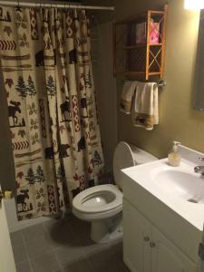 a bathroom with a toilet and a sink at The Last Run - 4BR Chalet between Mt. Snow & Stratton in Wardsboro