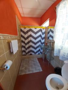 巴納哈契的住宿－Casa de Alondras，带淋浴和卫生间的浴室。