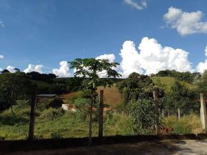 索克勒的住宿－chácara Gato de Botas，围栏旁的田野中的一棵树
