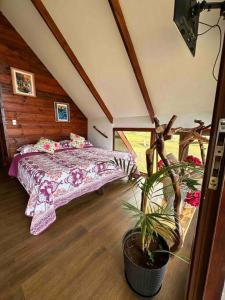 - une chambre avec un lit et une plante en pot dans l'établissement Terevaka Lodge, à Hanga Roa