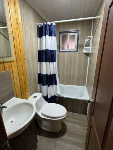 a bathroom with a toilet and a sink and a shower at Casa De Campo Puerto Octay in Puerto Octay
