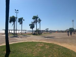 um parque com palmeiras na praia em Edificio Rey Niño em Posadas