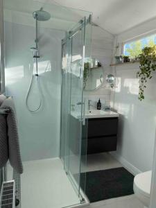 un bagno con doccia in vetro e lavandino di Sylvester’s on Lamont. Arty in Invermay. a Invermay Altre 14 foto