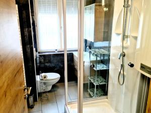a bathroom with a shower and a toilet and a sink at Apartment in Fohnsdorf near Ski Slopes in Fohnsdorf +19 photos