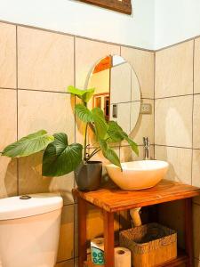 een badkamer met een wastafel, een spiegel en een plant bij Ficus house in Boca Tapada