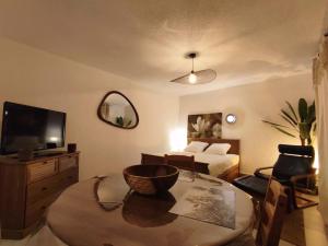 uma sala de estar com uma cama e uma mesa de centro em Le panorama époustouflant " climatisé" em Gréoux-les-Bains