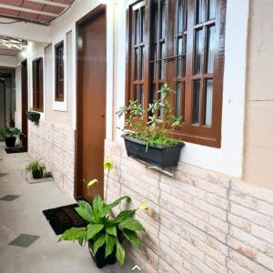 a building with potted plants next to a door at Hospedagem Doce Lar - Casa Girassol in Teresópolis