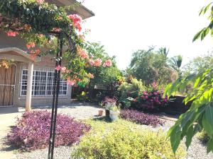 um jardim com flores e plantas em frente a uma casa em Ixtapa Playa Linda Hostel em Barrio Nuevo