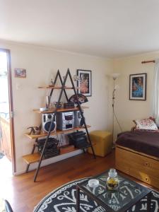 a room with a room with a bed and a shelf at Mini Casa en Viña del Mar in Viña del Mar