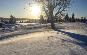 Sjusjøen的住宿－Stunning Home In Sjusjen With Sauna，雪中树,太阳在背后