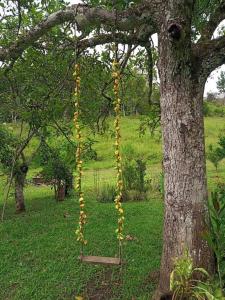 een boom met een touw aan een boom bij Sítio Encanto Évora in Bairro Murundu