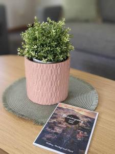 Eine Pflanze in einem rosa Topf auf einem Tisch mit einer Zeitschrift in der Unterkunft Buninyong Country Cottage in Buninyong