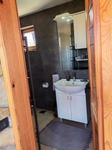 La salle de bains est pourvue d'un lavabo et d'un miroir. dans l'établissement Vikendica Martinovic, à Zlatibor