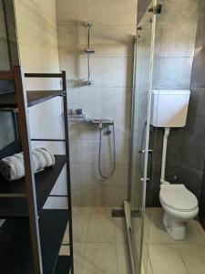 a bathroom with a toilet and a glass shower at Vikendica Martinovic in Zlatibor